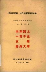 向阳路上 一笔千金 支援 终身大事