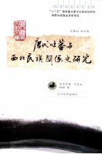 唐代吐蕃与西北民族关系史研究