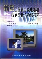 新型大屏幕彩色电视机线路分析与检修技巧