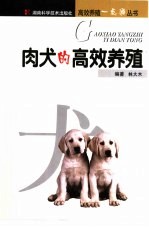 肉犬的高效养殖