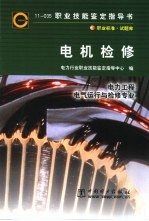 电机检修 11-035 职业标准·试题库 电力工程 电气运行与检修专业