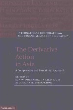 THE DERIVATIVE ACTION IN ASIA A COMPARATIVE FUNCTIONAL APPROACH