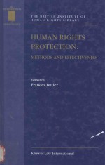 HUMAN RIGTHS PROTECTION:METHODS AND EFFECTIVENESS