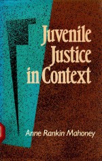 JUVENILE JUSTICE IN CONTEXT