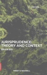 JURISPRUDENCE:THEORY AND CONTEXT