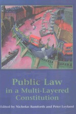 PUBLIC LAW IN A MULTI-LAYERED CONSTITUTION