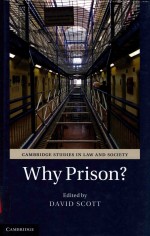 WHY PRISON?