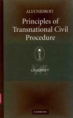 ALI/UNIDROIT PRINCIPLES OF TRANSNATIONAL CIVIL PROCEDURE