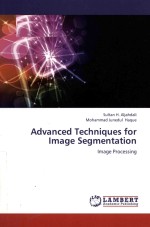 Advanced techniques for image segmentation image processing