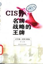 CIS：名牌战略的王牌