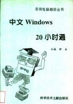 中文Windows20小时通