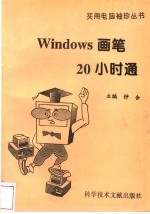 Windows画笔20小时通