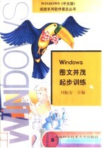 Windows图文并茂起步训练