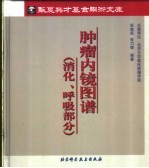 肿瘤内镜图谱 消化、呼吸部分