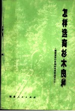 怎样选育杉木良种 福建省洋口林场杉木良种选育经验