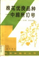 棉花优良品种 中棉所10号