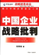 中国企业战略批判 一部系统揭示中国企业所犯战略性错误的经典之作