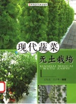 现代蔬菜无土栽培