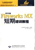 中文版Fireworks MX短期培训教程