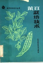 菜豆栽培技术