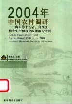 2004年中国农村调研 山东等十五省、自治区粮食生产和农业政策落实情况