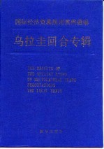 国际经济贸易规则惯例通编 乌拉圭回合专辑