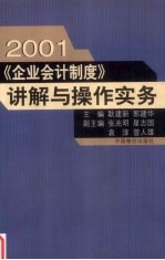 2001《企业会计制度》讲解与操作实务