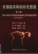 犬猫临床解剖彩色图谱  第2版