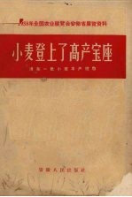 小麦登上了高产宝座  淠东一社小麦丰产经验