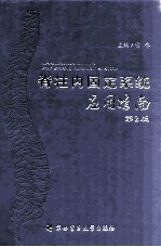 脊柱内固定系统应用指南