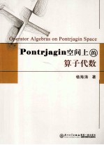 Pontrjagin空间上的算子代数