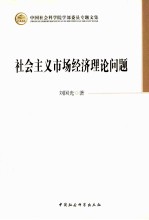 社会主义市场经济理论问题