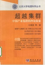 超越集群 中国产业集群的理论探索