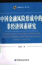 中国金融风险形成中的非经济因素研究