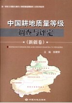 中国耕地质理等级调查与评定 新疆卷