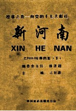 新河南之2007经典档案 下