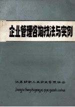 企业管理咨询技法与实例