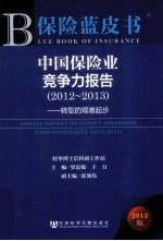 中国保险业竞争力报告 2012-2013