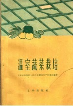 温室蔬菜栽培