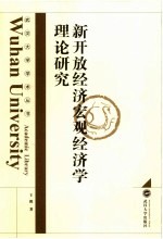 新开放经济宏观经济学理论研究