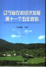 辽宁省农村经济发展第十一个五年规划