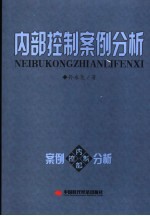 内部控制案例分析