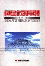 现代政府会计发展与对策