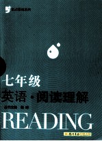 金点思维系列 阅读理解 英语 七年级