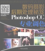 数码摄影后期处理秘笈 PHOTOSHOP CC专业调色