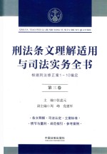 刑法条文理解适用与司法实务全书  根据刑法修正案1-10编定  第3卷