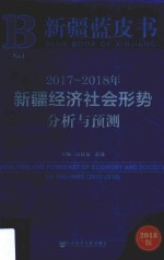 2017-2018年新疆经济社会形势分析与预测