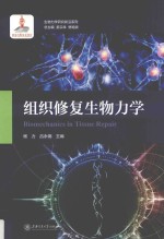 组织修复生物力学