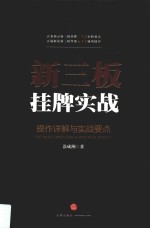 新三板挂牌实战 操作详解与实战要点