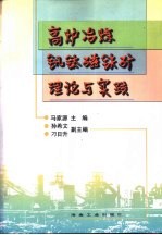 高炉冶炼钒钛磁铁矿理论与实践